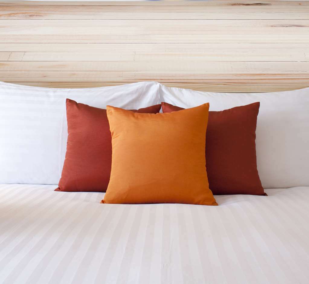 Econo Lodge Inn & Suites Sweetwater I-20 Room photo